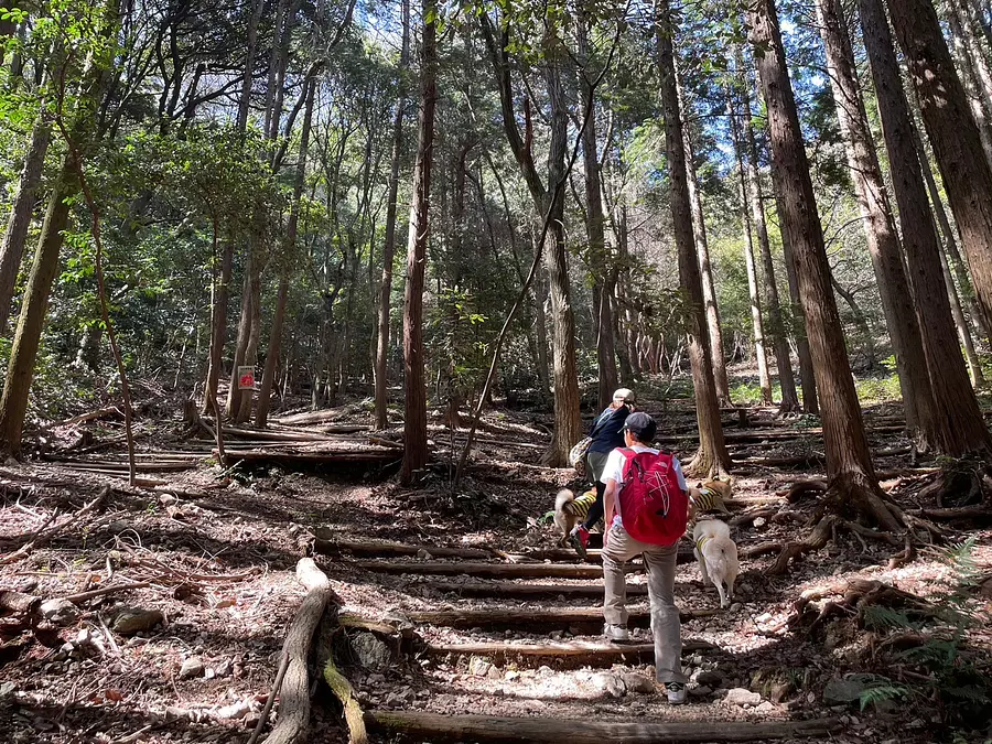 「多度山」は愛犬とも登れる登山初心者におすすめの山！駐車場やおすすめコースをご紹介！ 取材レポート 観光三重 かんこうみえ